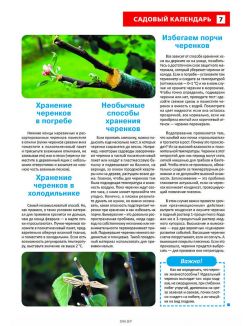 Сад огород — кормилец и лекарь 18 / 2023