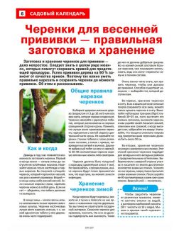 Сад огород — кормилец и лекарь 18 / 2023