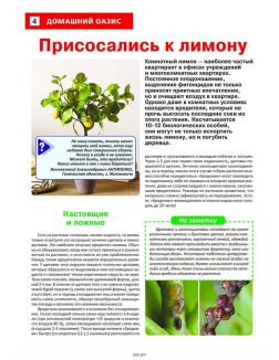 Сад огород — кормилец и лекарь 18 / 2023