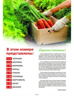 Сад огород — кормилец и лекарь 18 / 2023
