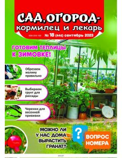 Сад огород — кормилец и лекарь 18 / 2023
