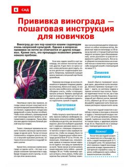 Сад огород — кормилец и лекарь 19 / 2023
