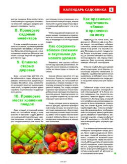 Сад огород — кормилец и лекарь 19 / 2023