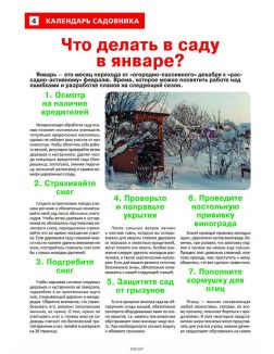 Сад огород — кормилец и лекарь 19 / 2023