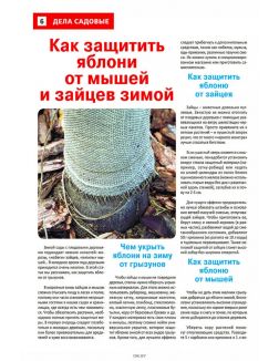 Сад огород — кормилец и лекарь 20 / 2023