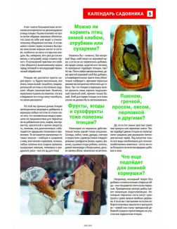 Сад огород — кормилец и лекарь 20 / 2023