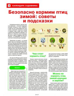 Сад огород — кормилец и лекарь 20 / 2023