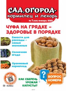 Сад огород — кормилец и лекарь № 01 / 2023. Чуфа на грядке - здоровье в порядке