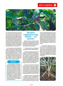 Сад огород — кормилец и лекарь 20 / 2023
