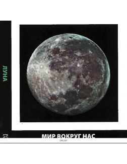 МИР ВОКРУГ НАС № 5