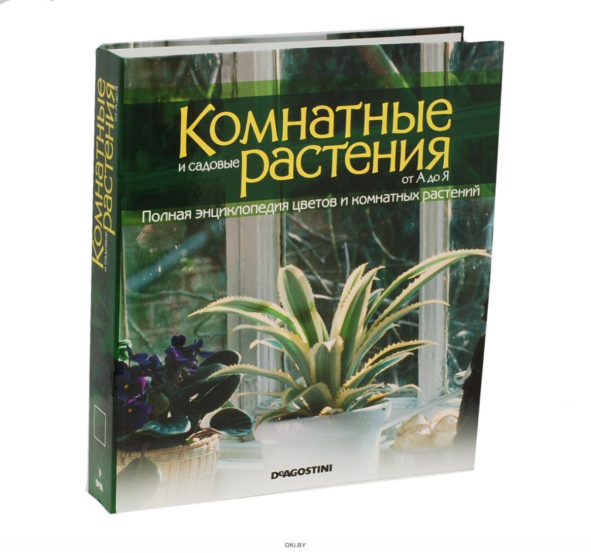 Интернет Магазин Коллекционных Комнатных Растений