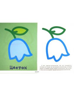 Первые раскраски «Цветок»