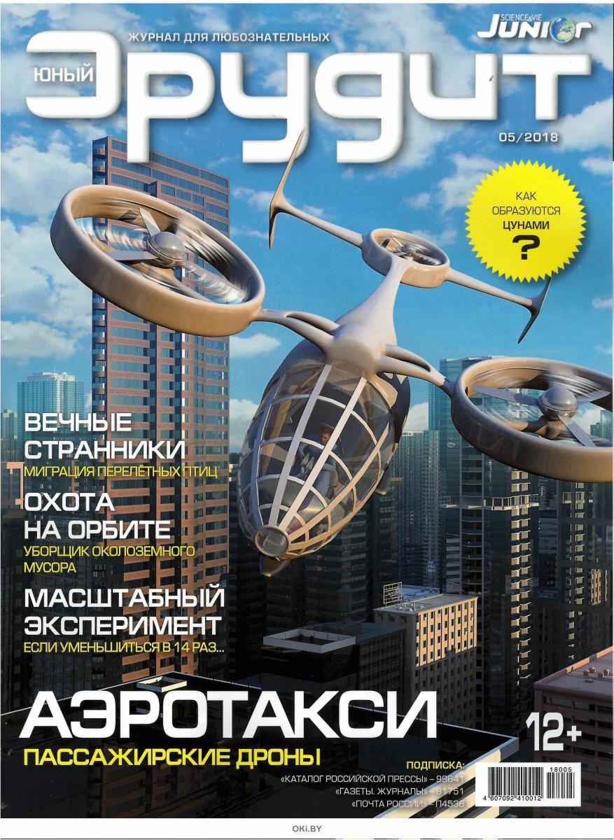 Электронный журнал эрудит