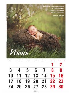 Календарь «Любимые малыши» на 2019 год